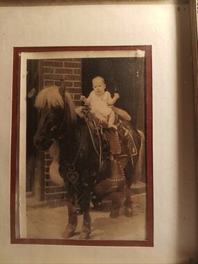 Meet your Posher, Effie Mia